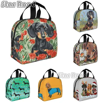 Чанта за обяд с анимационни куче Такса, Мъжки Дамски чанти-хладилник, топло изолирани обяд-апарати за работа, тренировки на открито, на пикник, на плажа пътуване