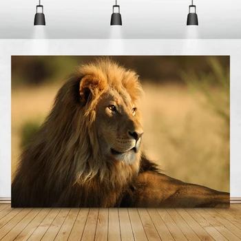 Снимка на лъв от Африканската Савана Животни Естествен фон от жираф Украса за фотосесия слонове Реклама пътуване на стената