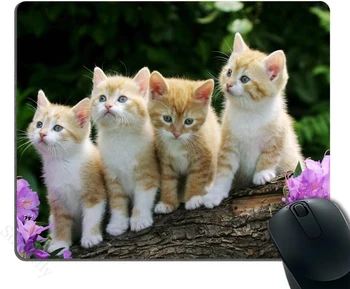 Коте Цвете, хубава забавна група, котка, подложка за мишка, четири прекрасната котка на дърво, индивидуални геймърска подложка за мишка за офис лаптоп
